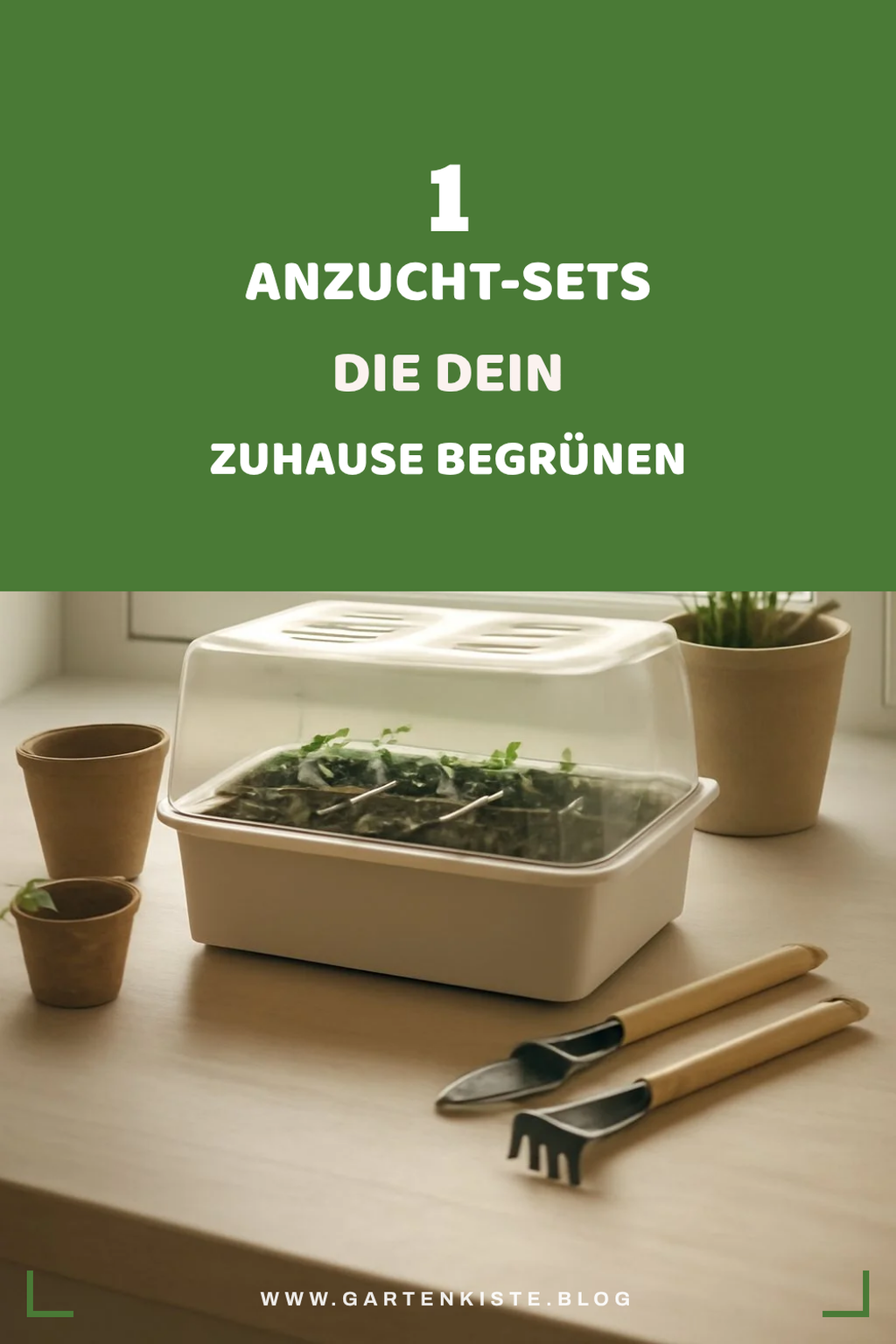 Bonus-Ideen für mehr Auswahl
