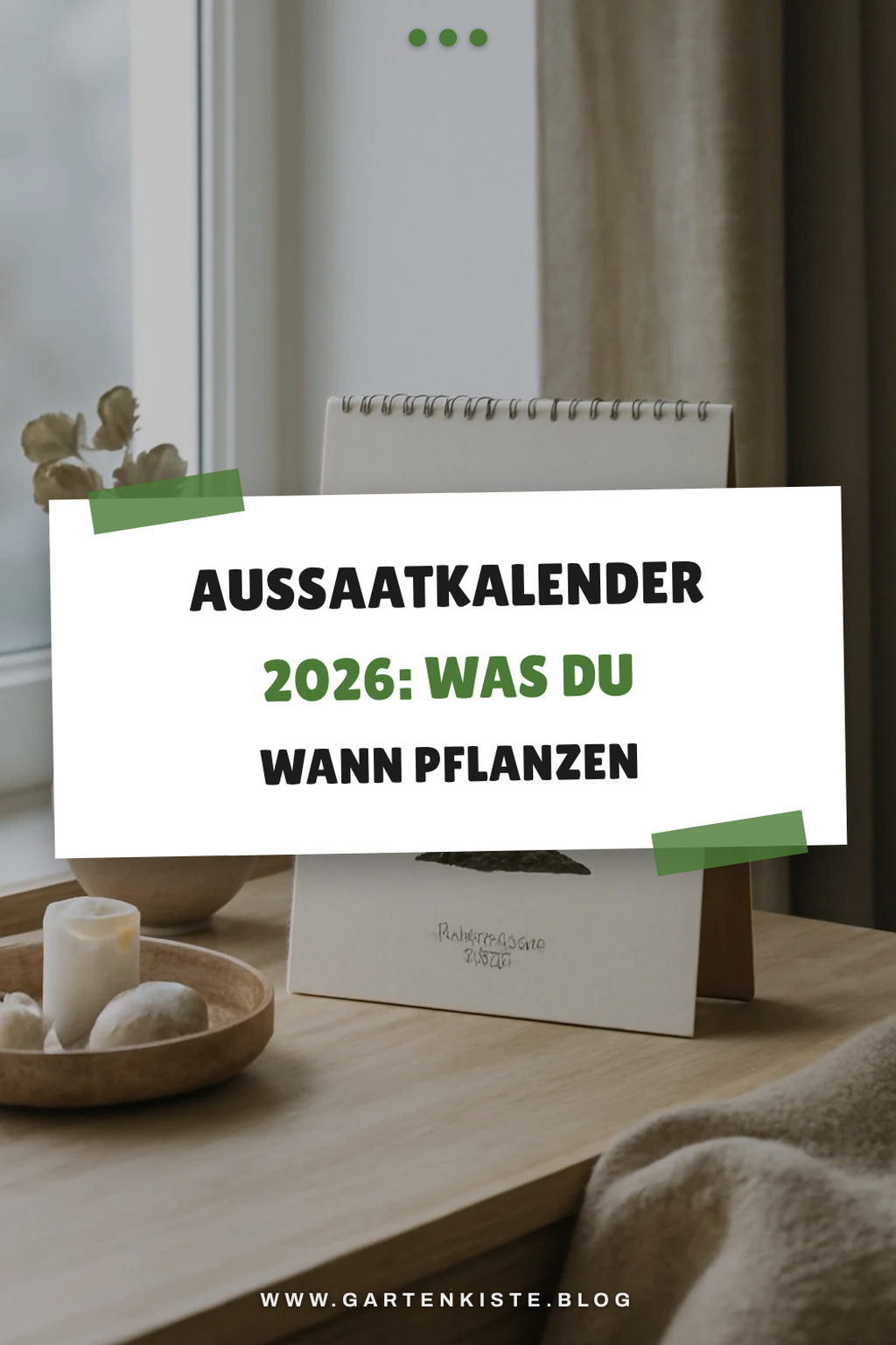 Aussaatkalender 2026: Was du wann pflanzen musst