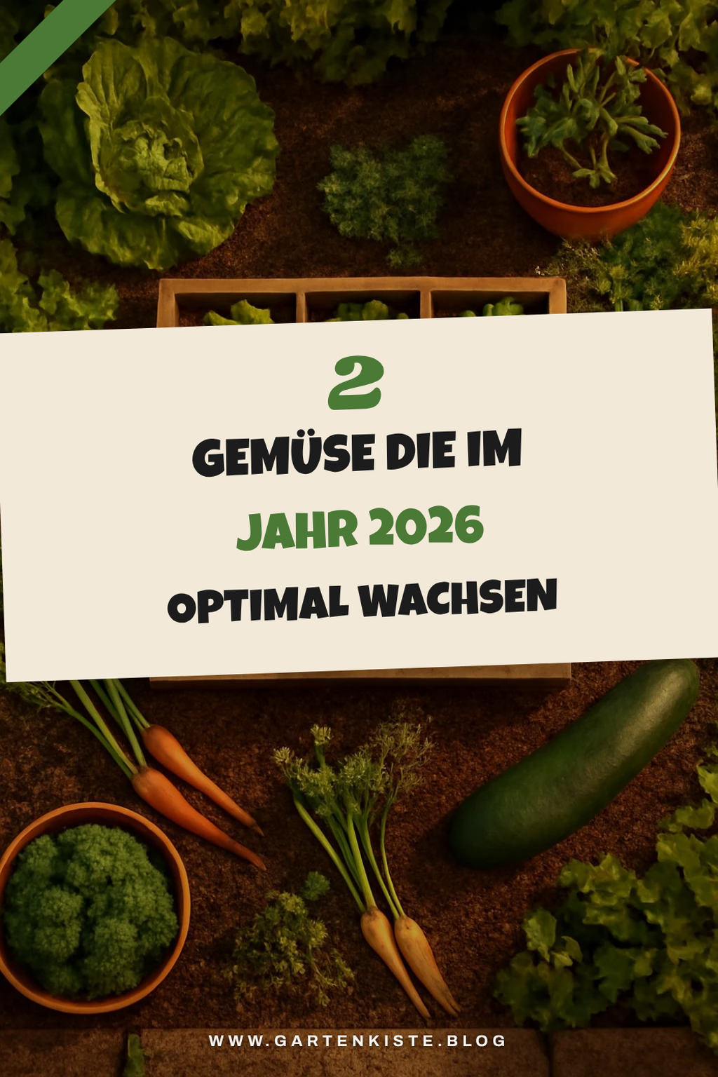 Wann solltest du welches Gemüse im Jahr 2026 pflanzen?