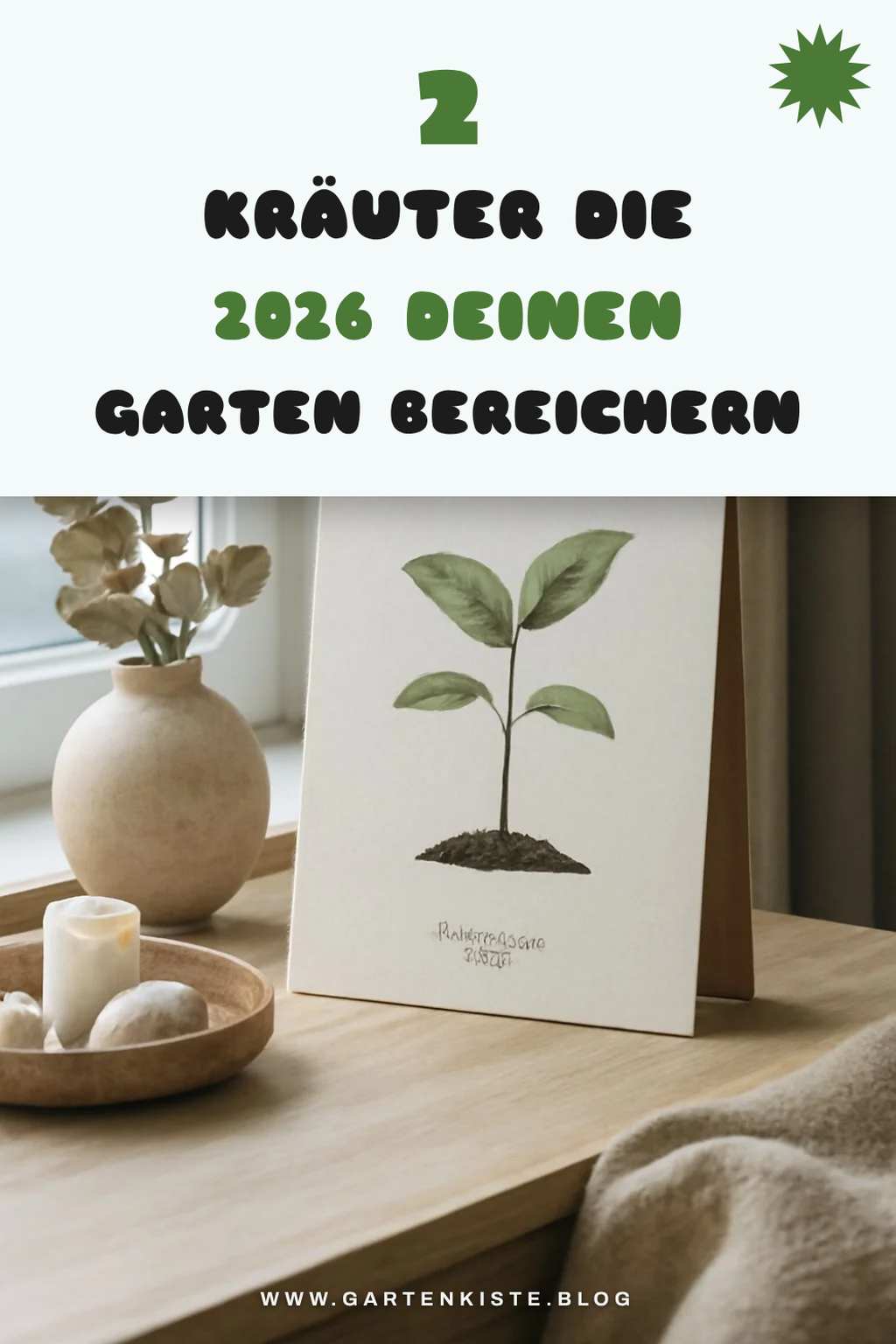 Die besten Kräuter für deinen Garten 2026