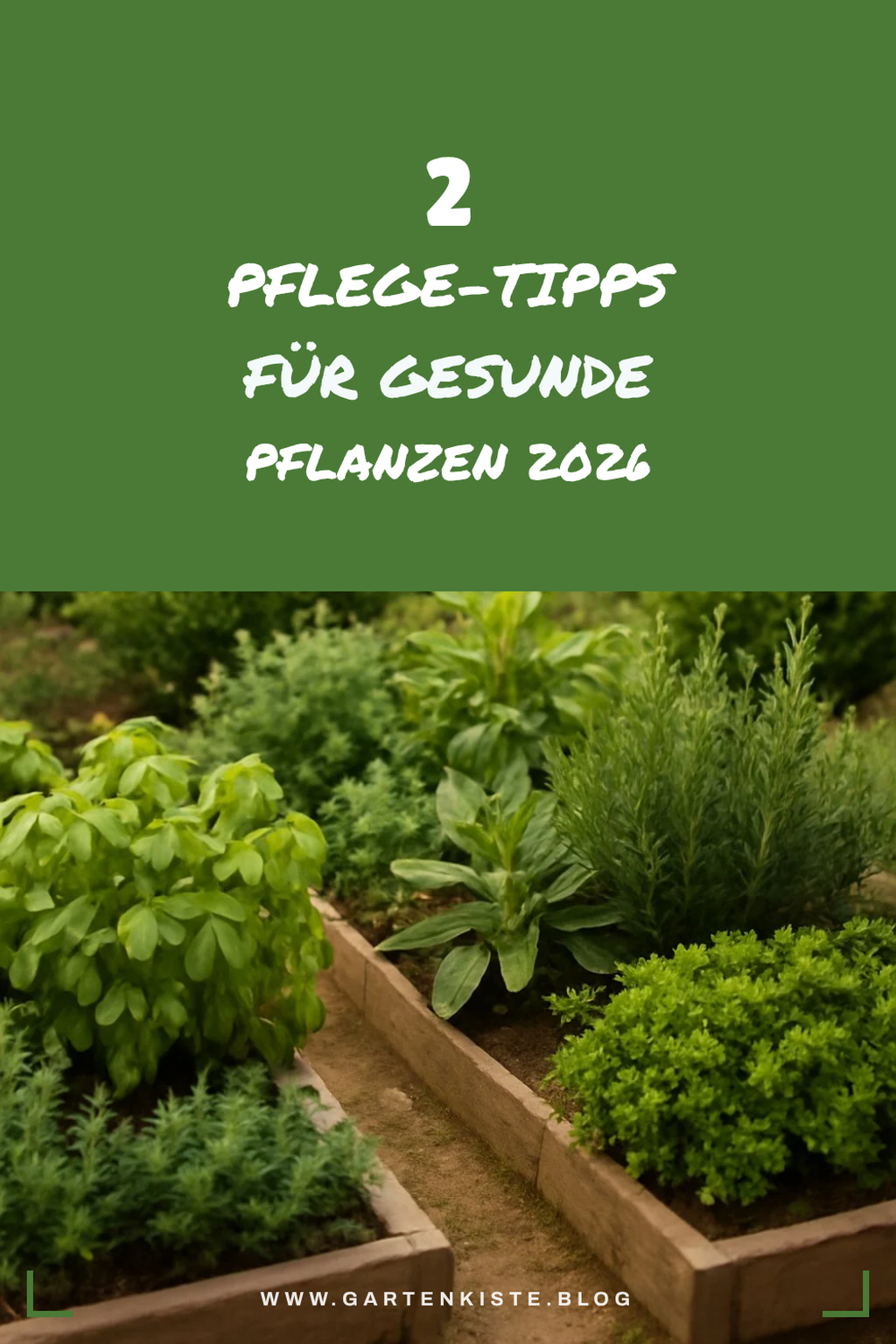 Tipps zur Pflege deiner Pflanzen