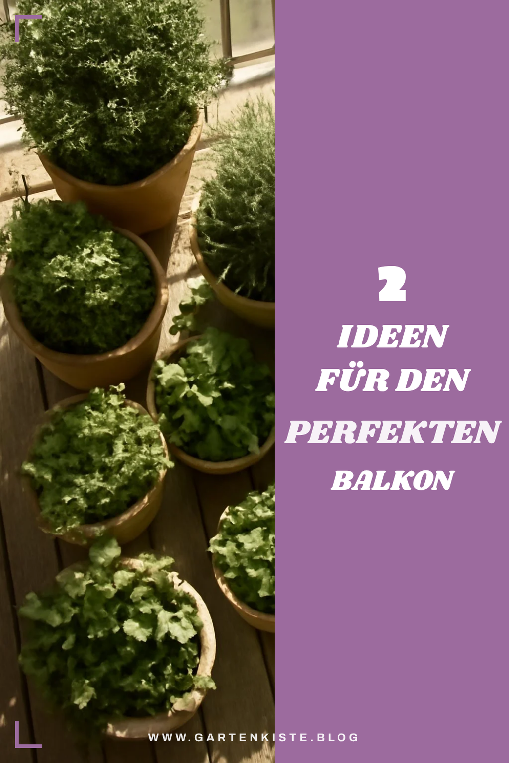 So bepflanzt du deinen Balkon je nach Himmelsrichtung