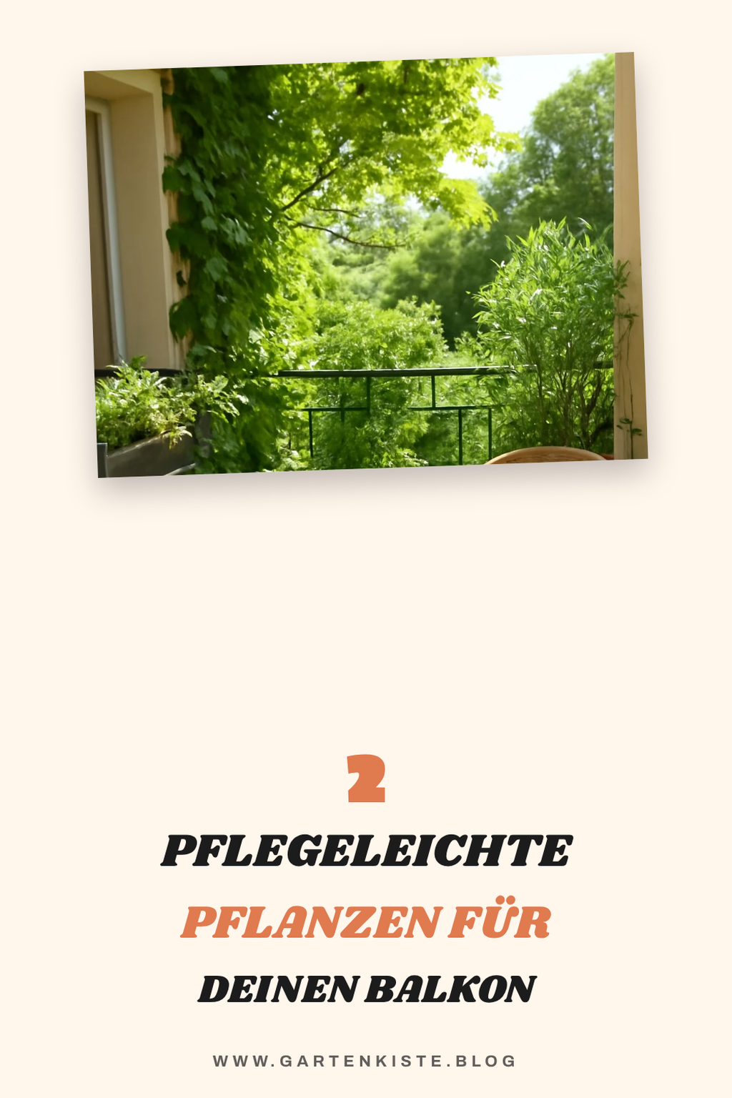 Pflegeleichtes Bepflanzen für Einsteiger