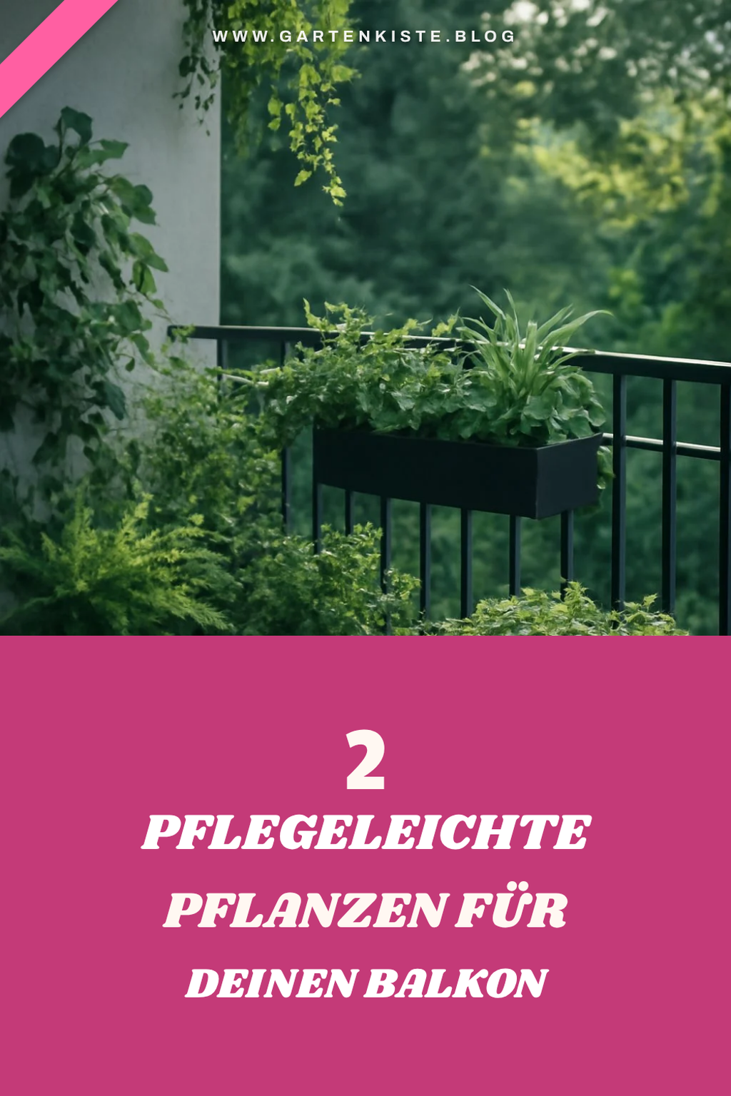 Pflegeleichte Pflanzen für deinen Balkon