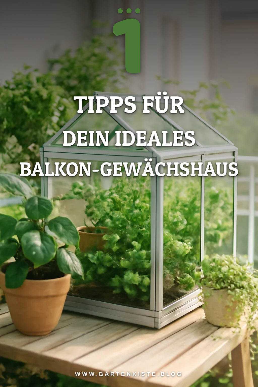 So findest du das perfekte Balkon-Gewächshaus für deinen Bedarf