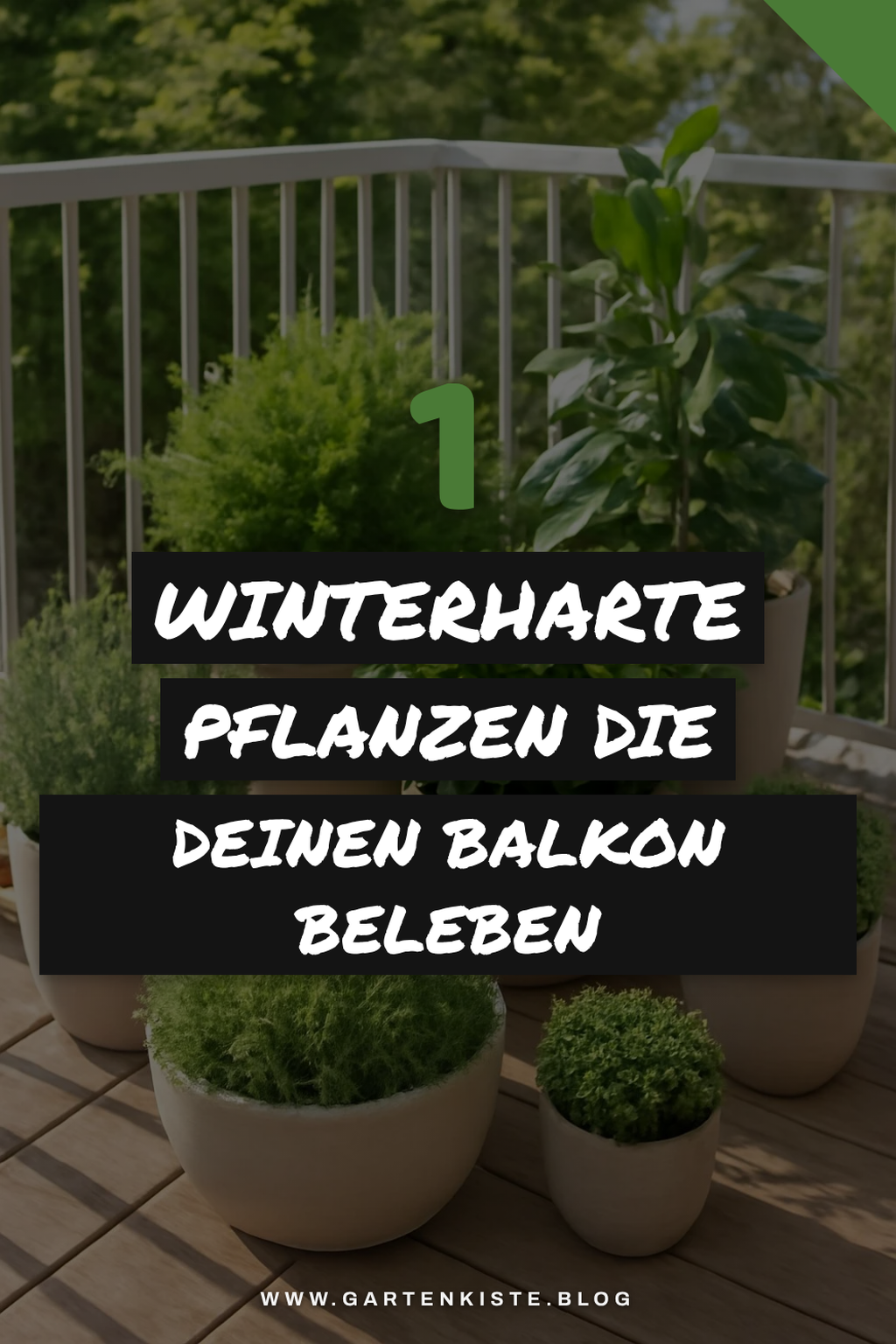 Diese 7 winterharten Pflanzen machen deinen Balkon lebendig!