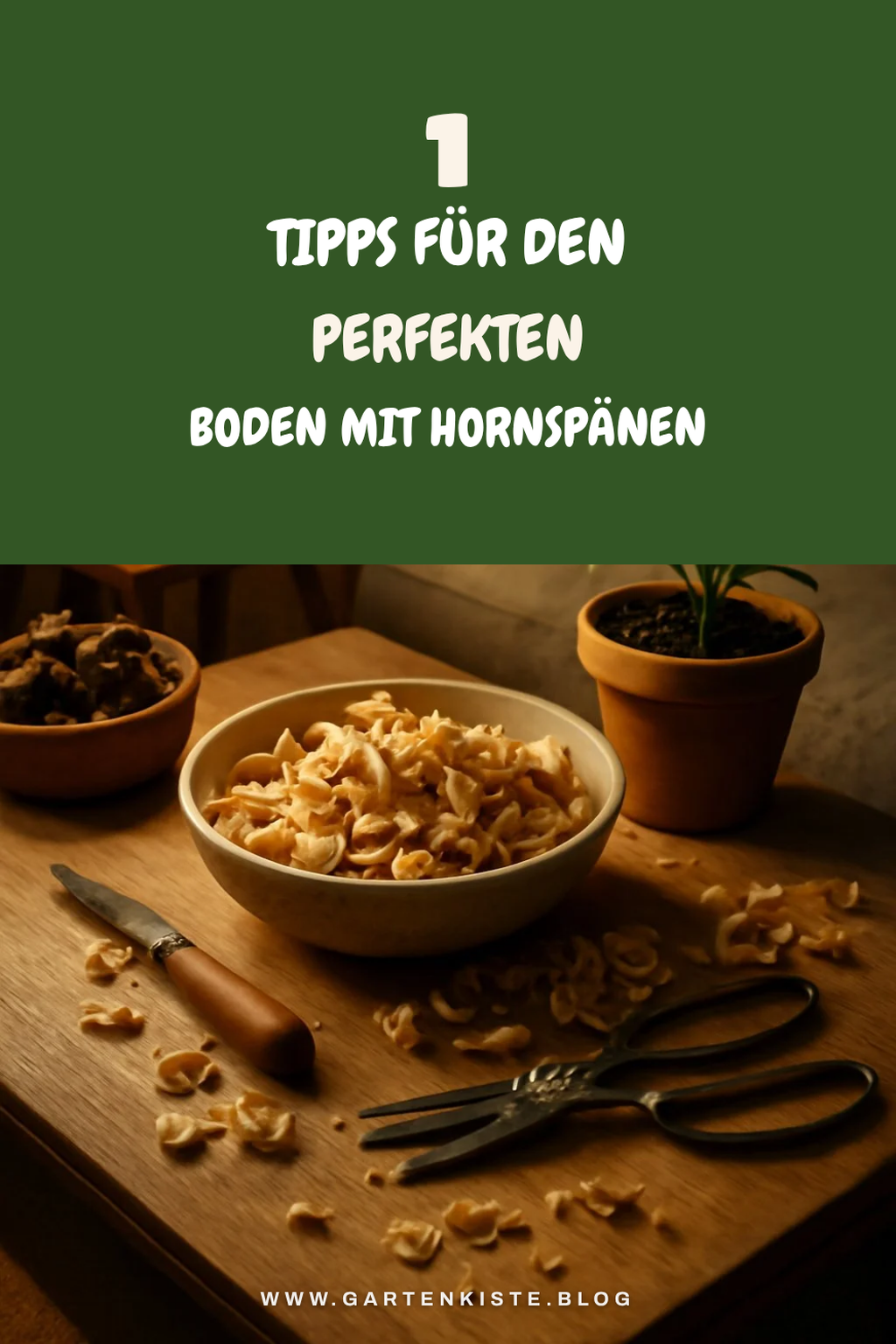 Mehr Empfehlungen aus dieser Kategorie