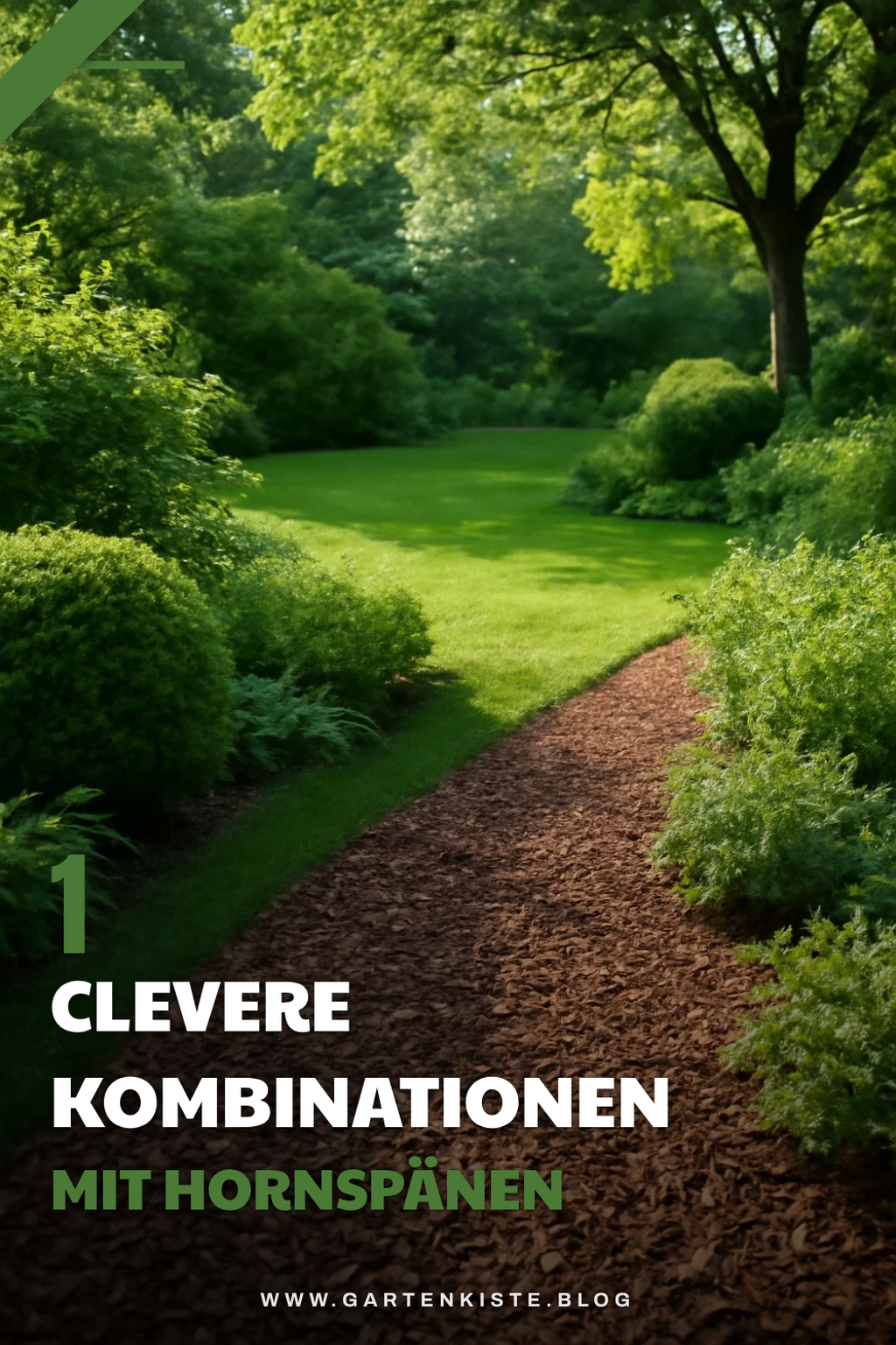 So kombinierst du Hornspäne optimal