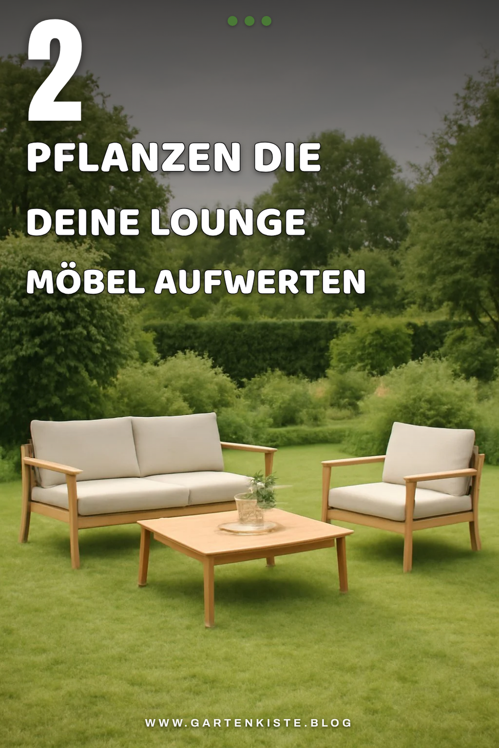 Diese Pflanzen verschönern deine Lounge Möbel