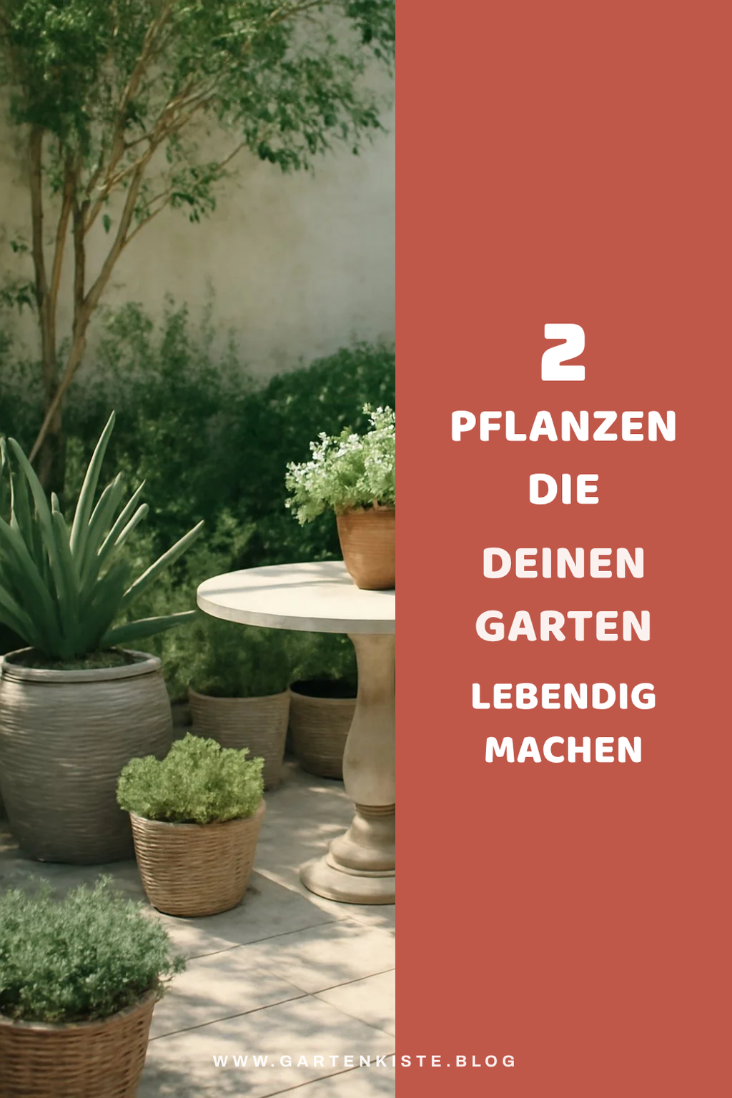 Diese Pflanzen bringen Farbe in deinen Garten