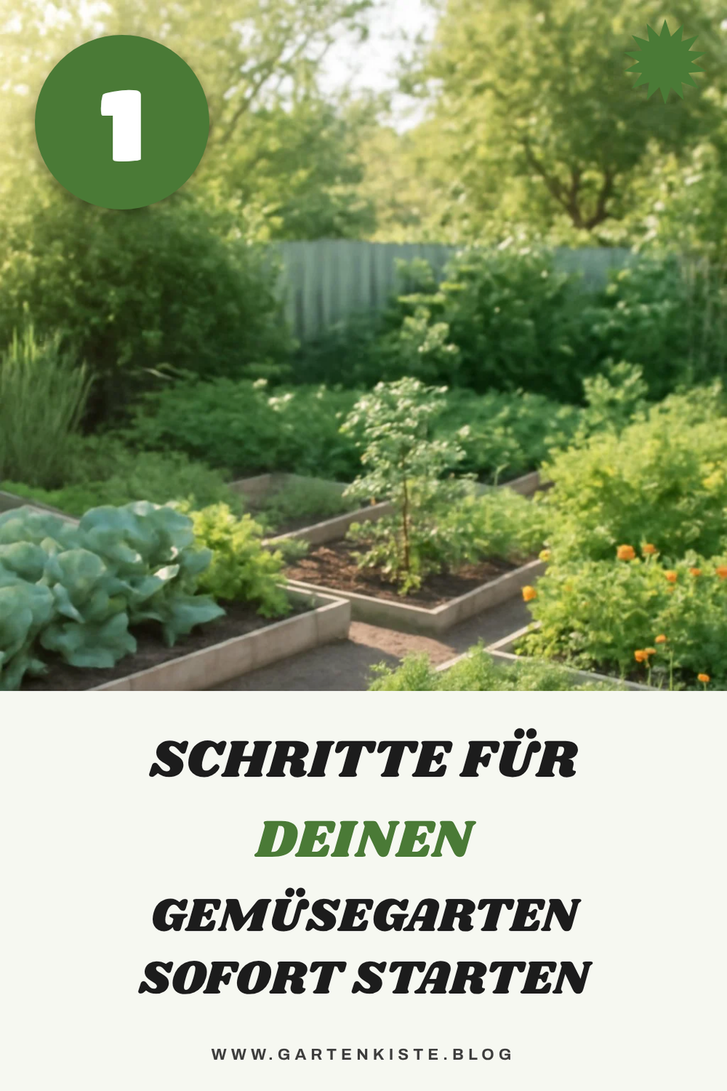 So legst du deinen Gemüsegarten in 8 Schritten an