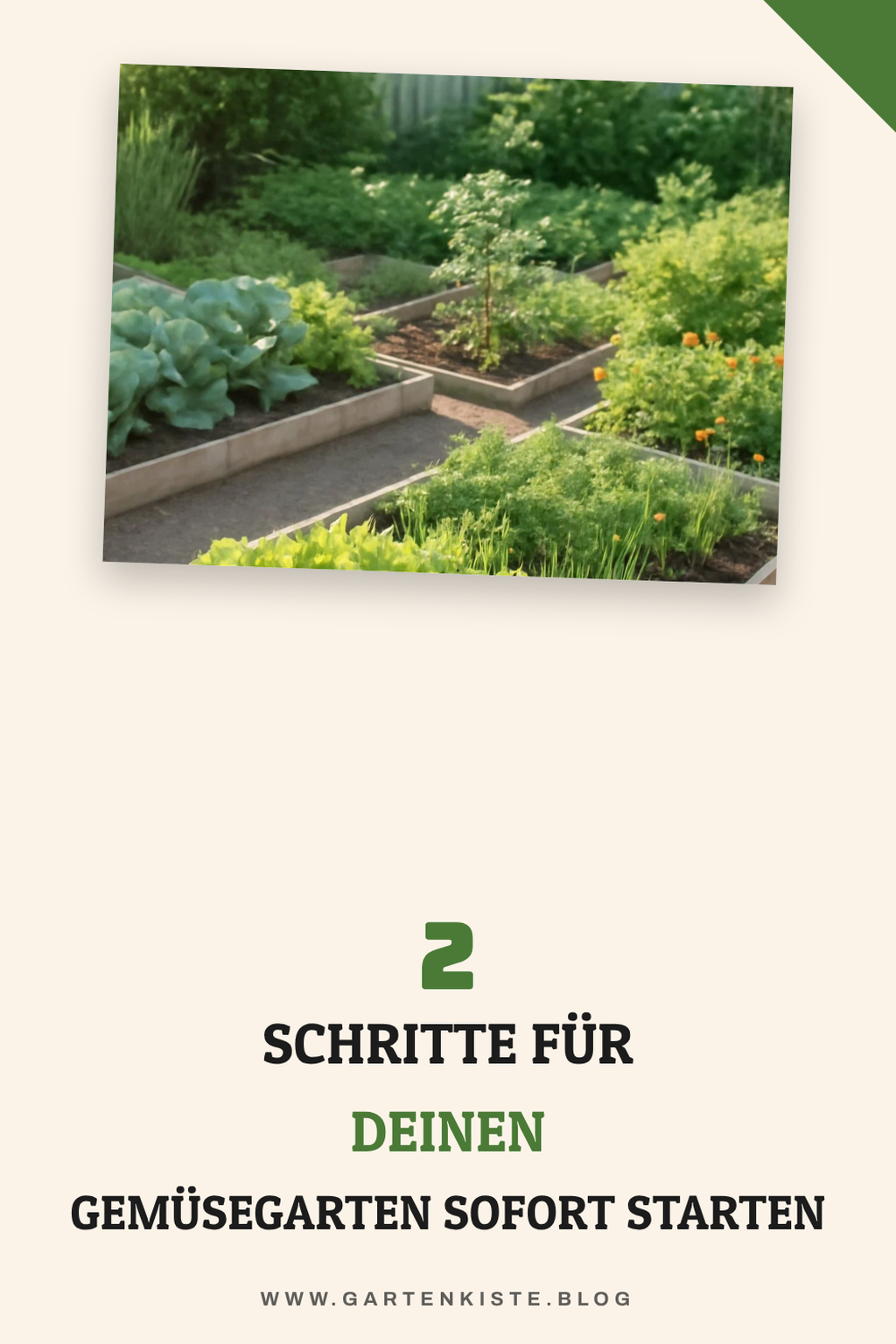 Diese 2 Picks lohnen sich extra