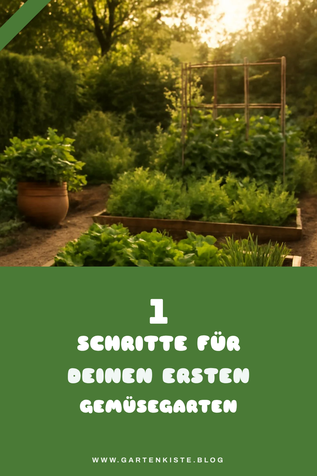 So startest du deinen Gemüsegarten in 8 einfachen Schritten