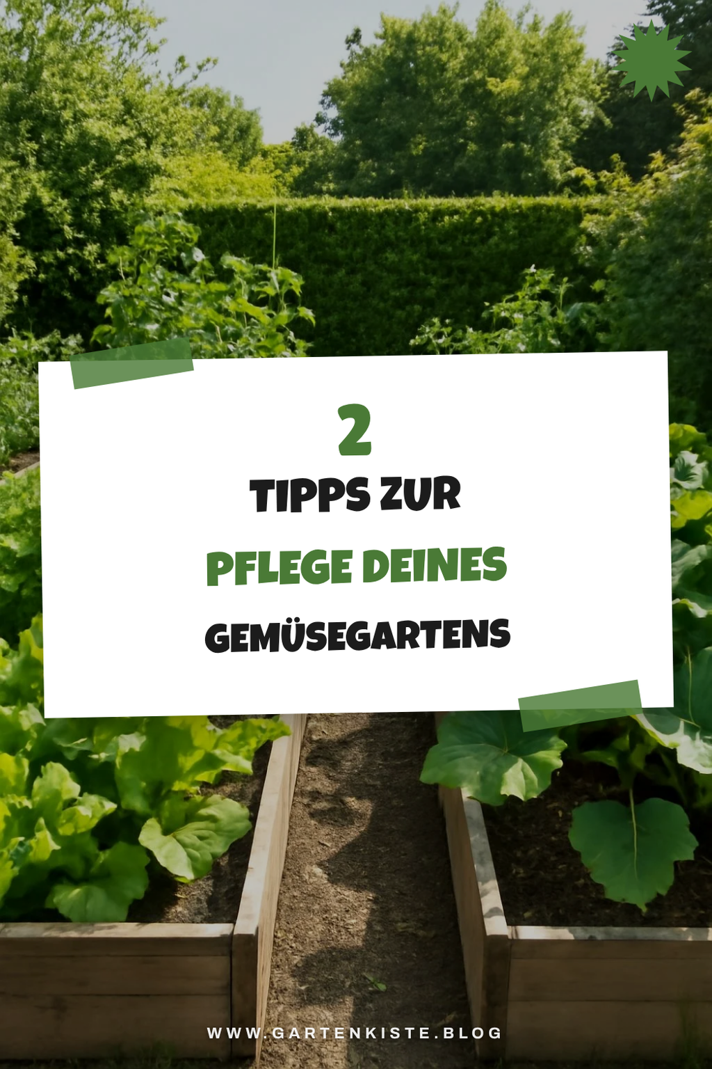 Pflege und Bewässerung für deinen Gemüsegarten