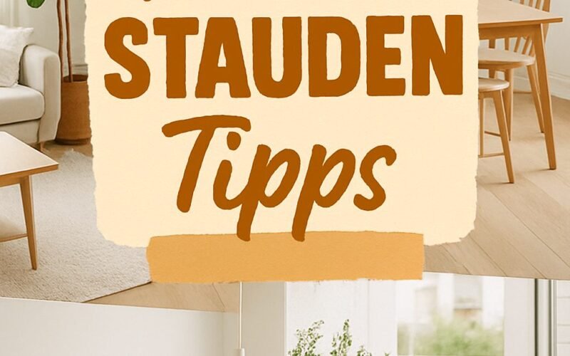 Die besten Tipps für Anfänger