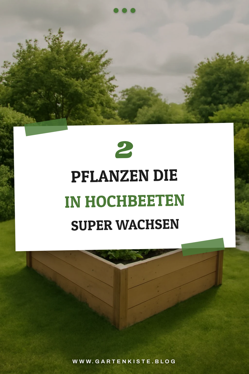 Diese Pflanzen gedeihen im Hochbeet besonders gut