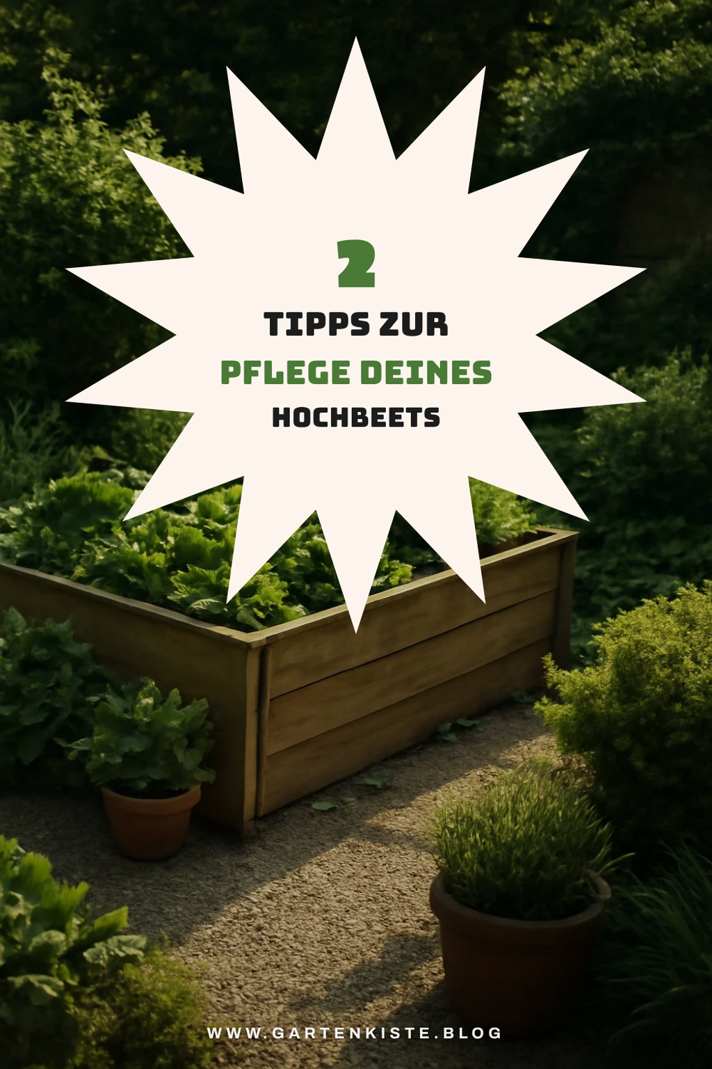 So pflegst du dein Hochbeet richtig
