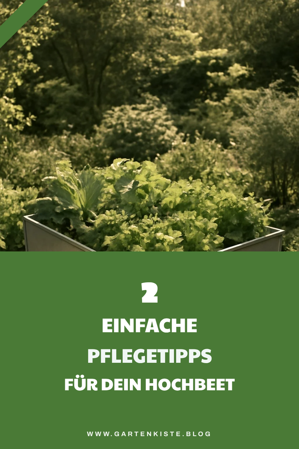 Pflege deines Metallhochbeetes für optimale Erträge