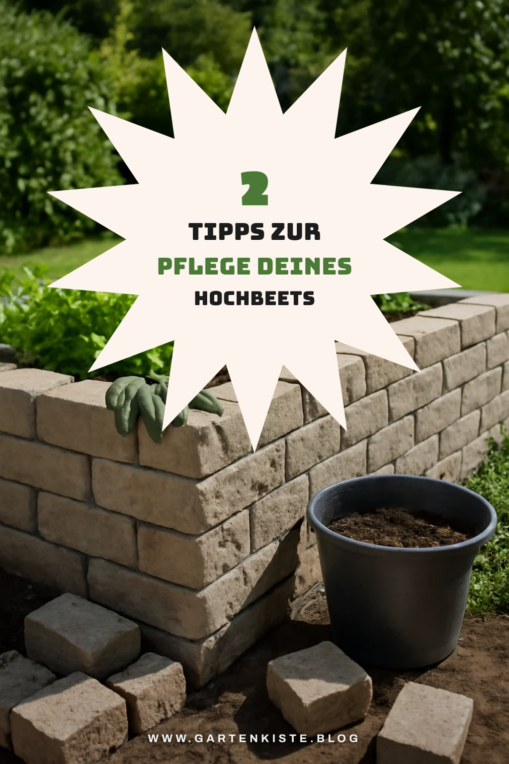Pflege und Wartung deines Hochbeets