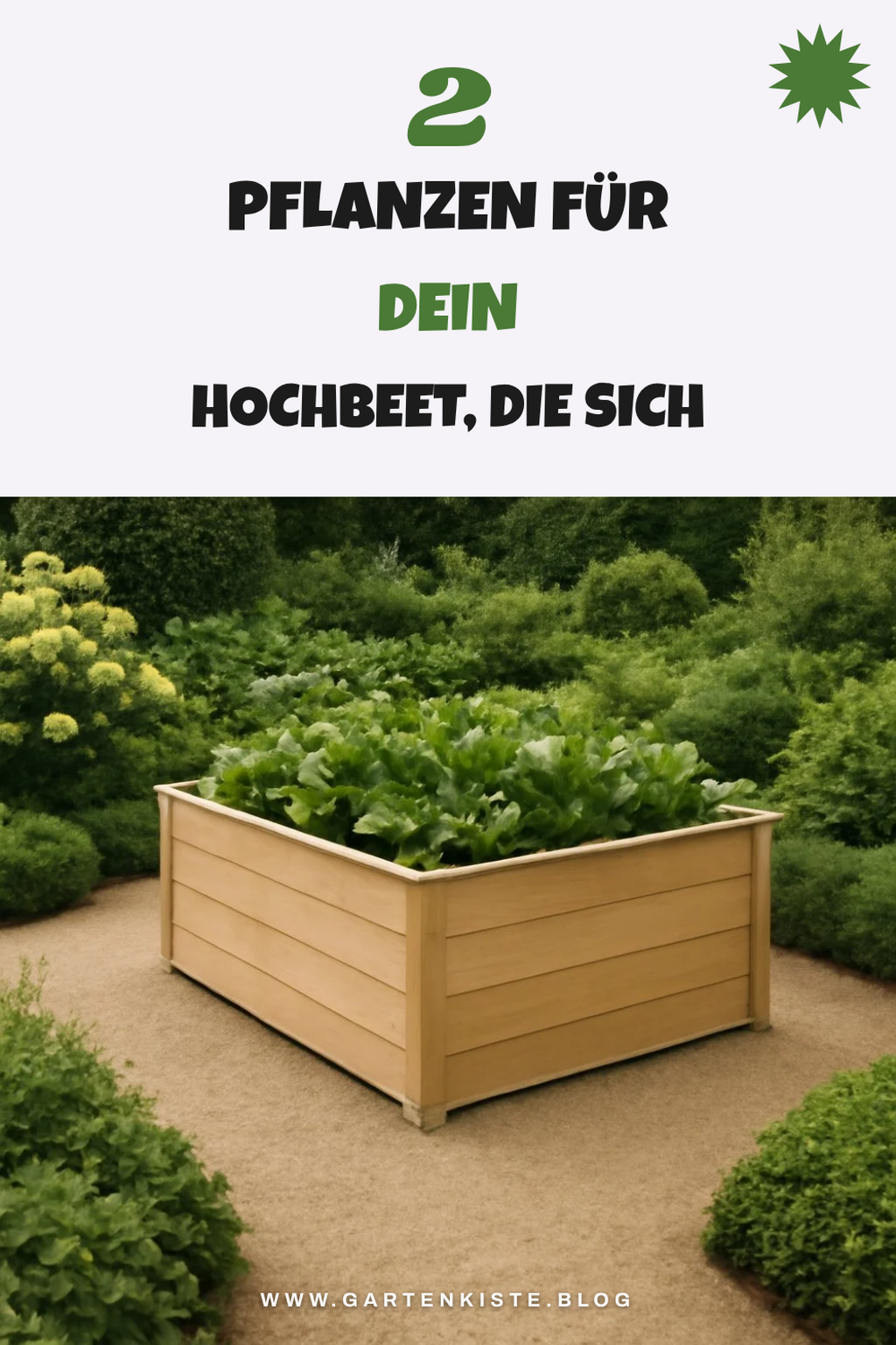 Bepflanzung deines Hochbeets: Die besten Pflanzen