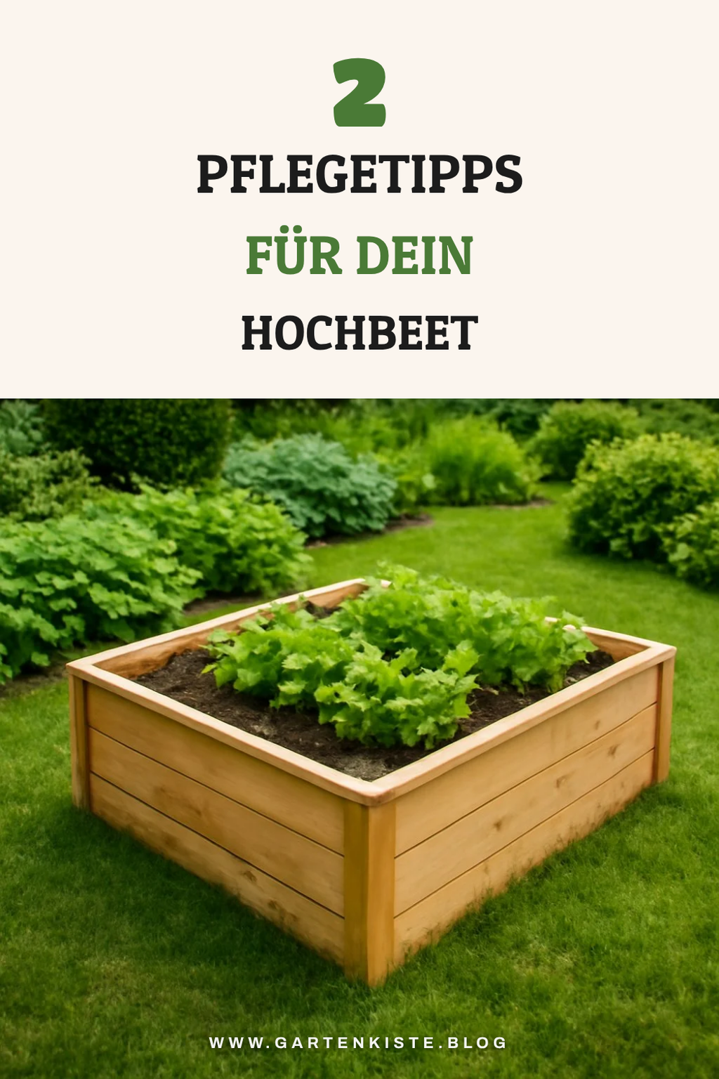 Pflege deines Hochbeets: Tipps für ein gesundes Wachstum