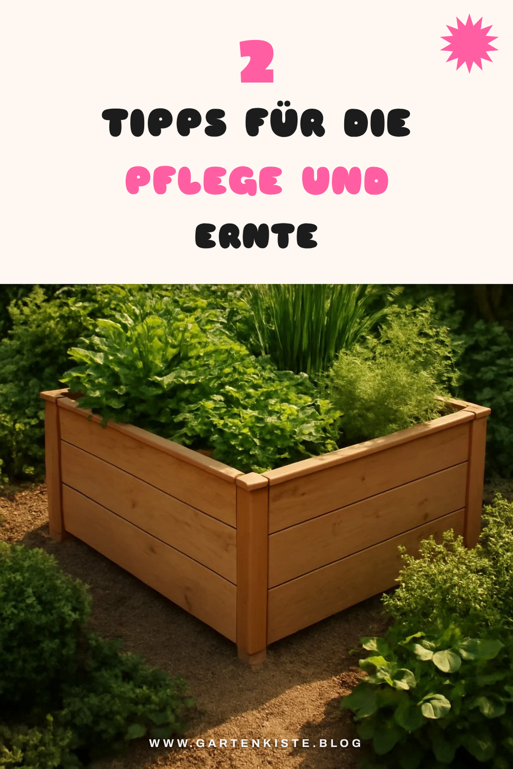 Pflege und Ernte von Hochbeeten