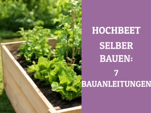 Hochbeet selber bauen: 7 Bauanleitungen für jedes Budget