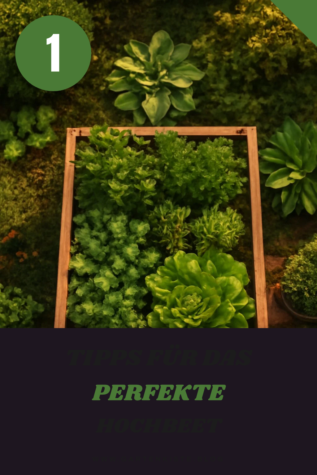 So findest du das beste Hochbeet für deinen Garten