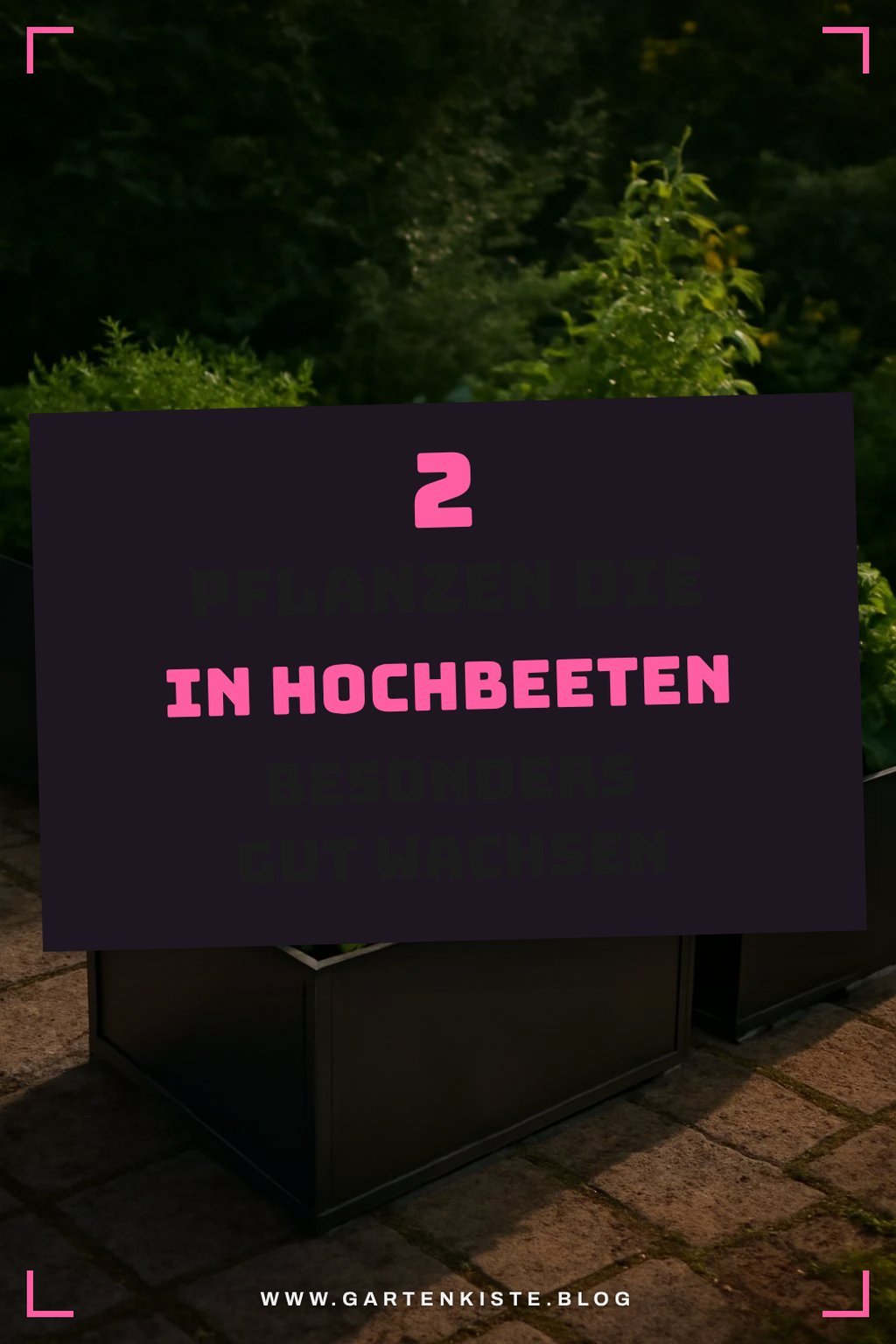 Diese Pflanzen gedeihen besonders gut in Hochbeeten aus Metall