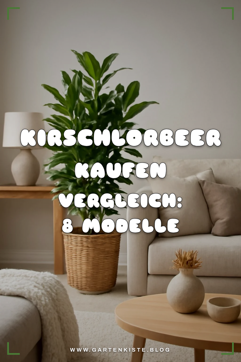 Kirschlorbeer Kaufen Vergleich: 8 Modelle im Check