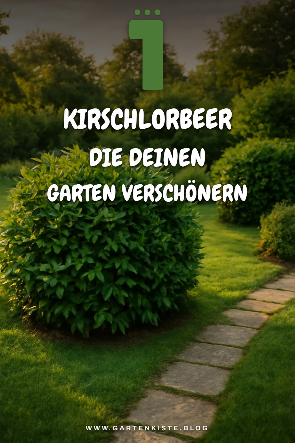 So findest du den besten Kirschlorbeer für deinen Garten