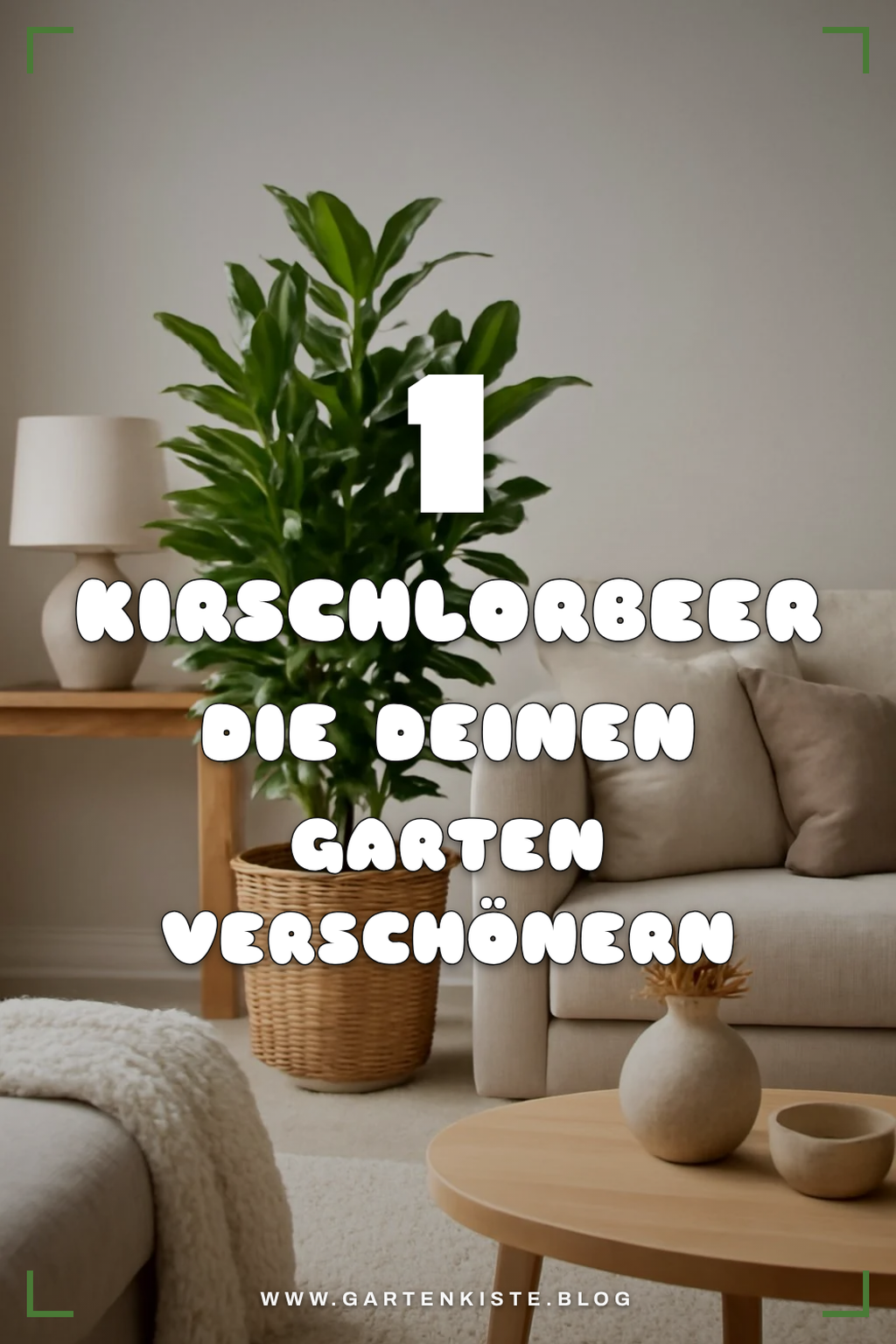 Mehr Empfehlungen aus dieser Kategorie