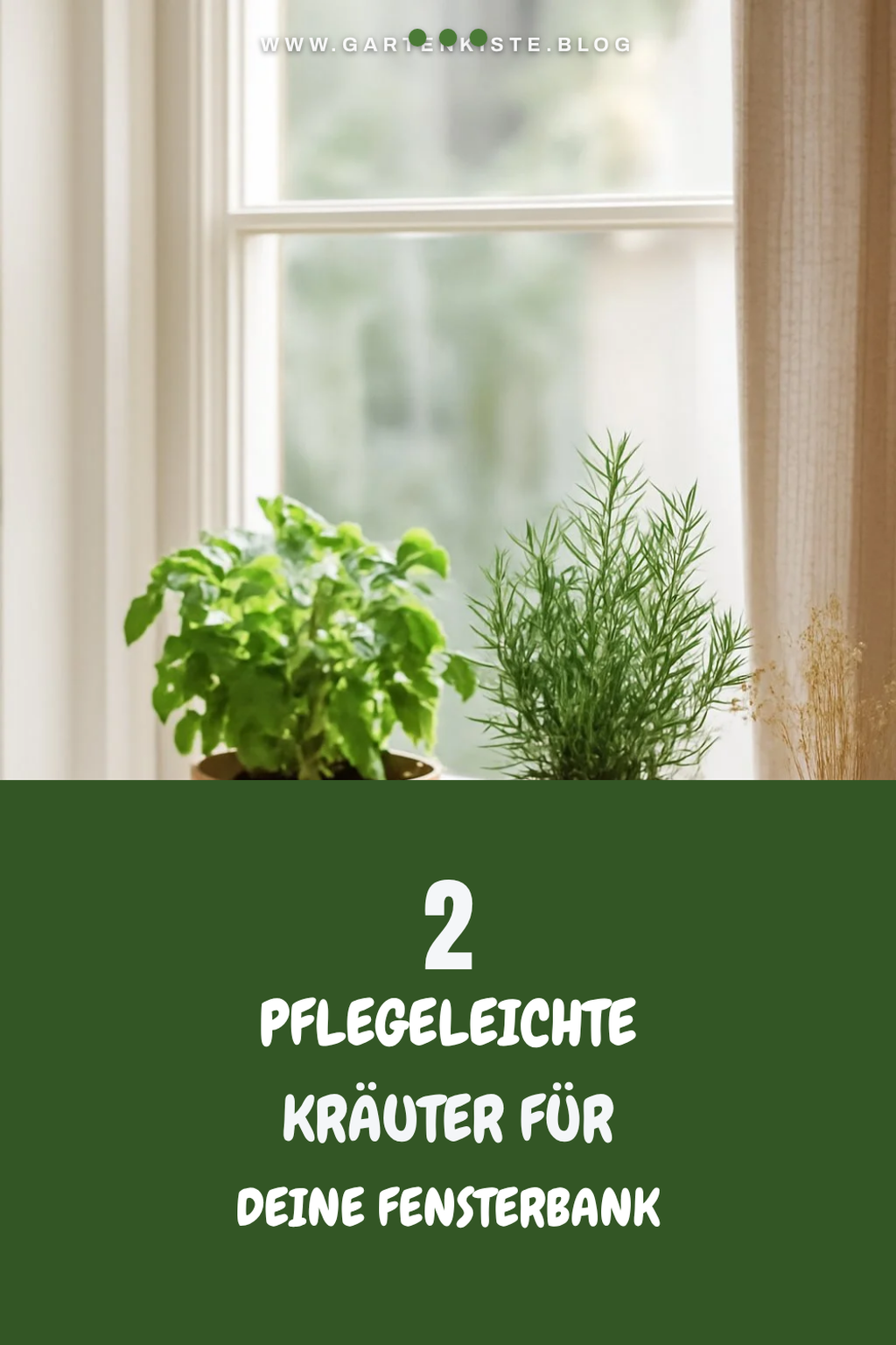 Mehr Empfehlungen aus dieser Kategorie