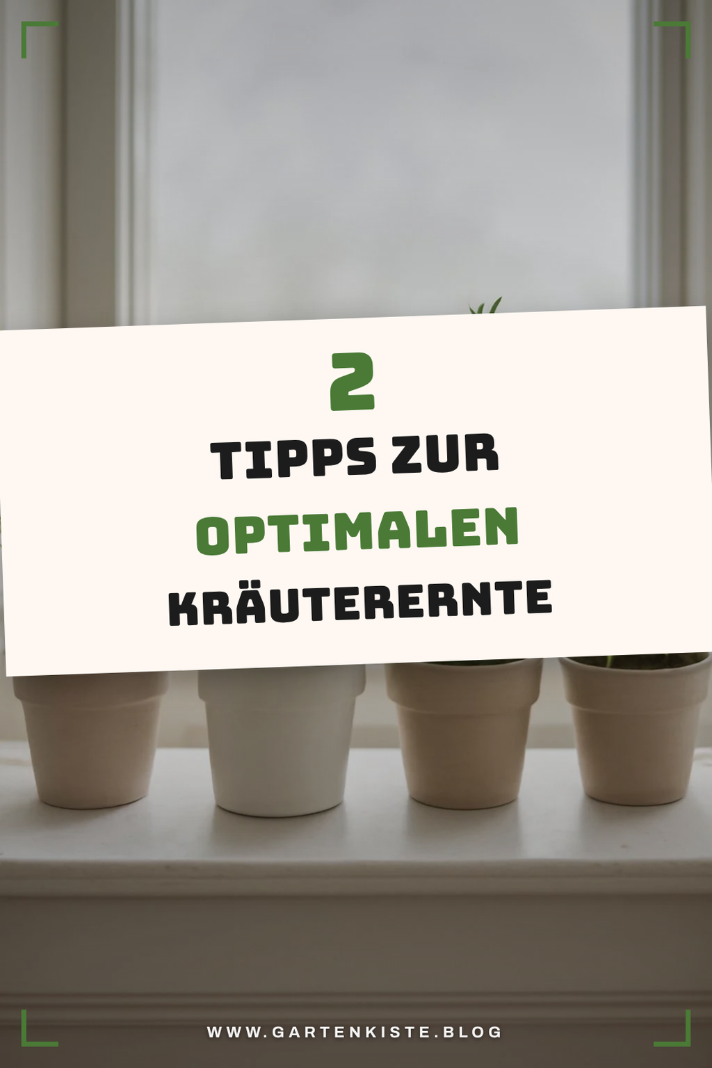 Wie man die Ernte optimal nutzt