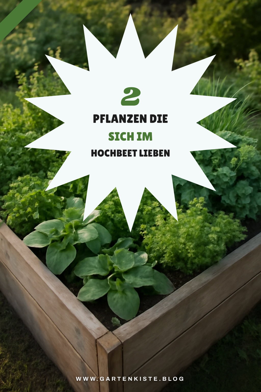 Welche Pflanzen harmonieren im Hochbeet am besten?