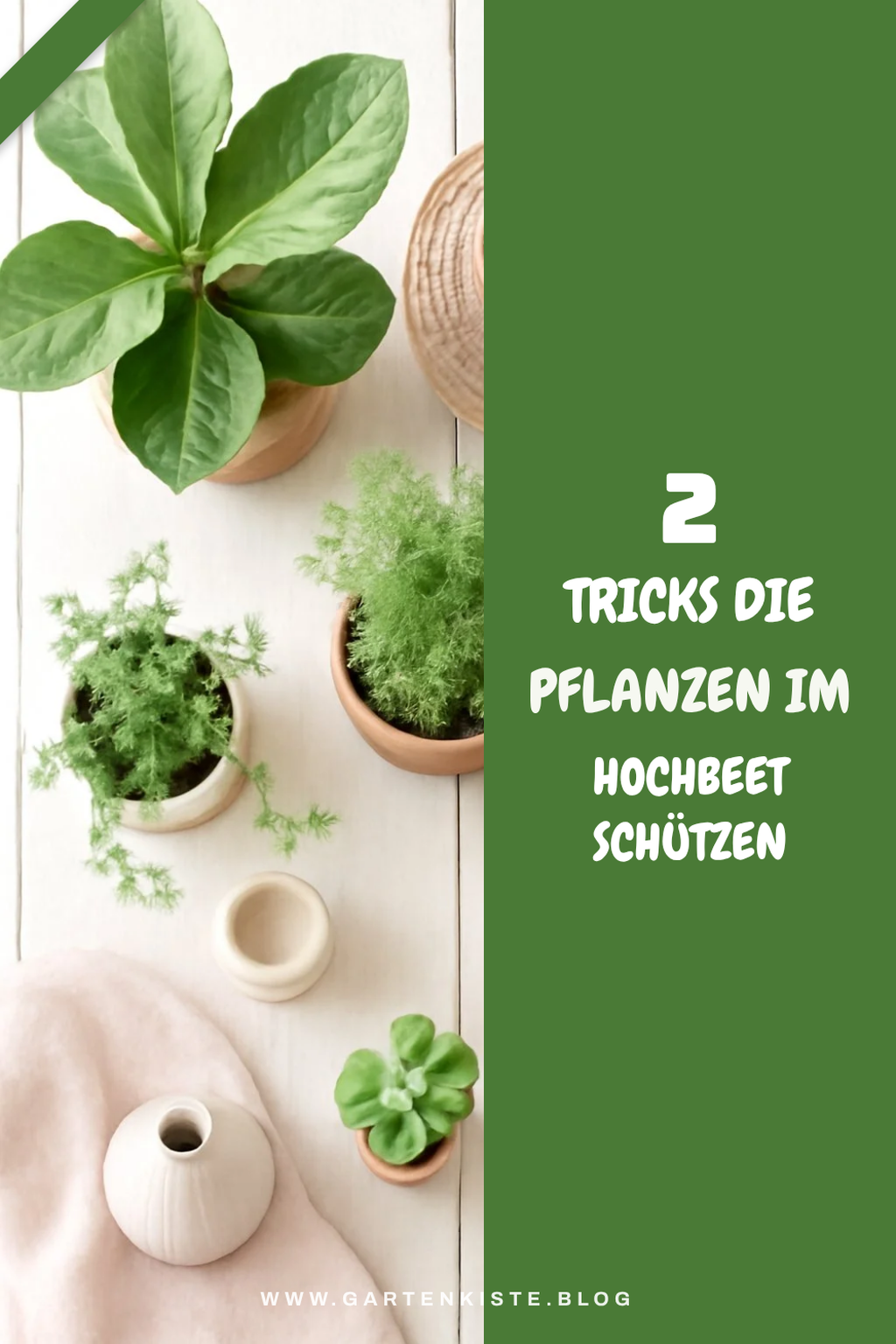 Wie schütze ich meine Pflanzen im Hochbeet?