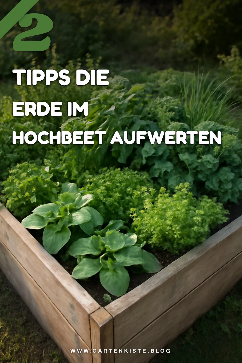 Wie verbessere ich die Erde im Hochbeet?