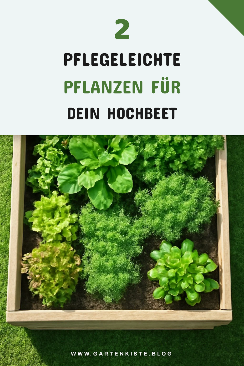 Welche Pflanzen sind pflegeleicht im Hochbeet?