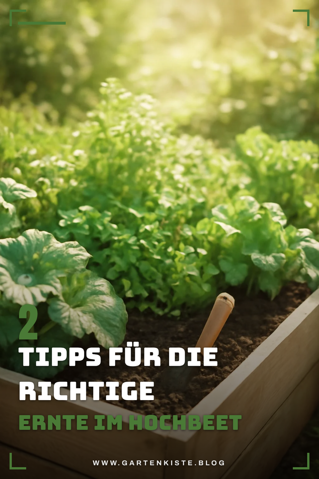 Wie ernte ich richtig aus dem Hochbeet?