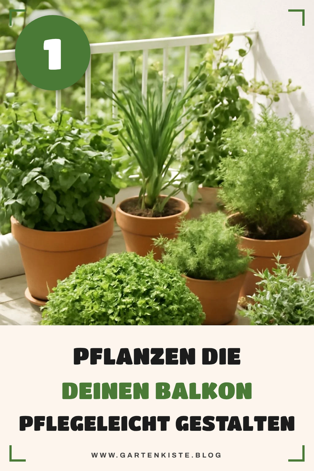 Diese 5 pflegeleichten Pflanzen machen deinen Balkon zur Oase
