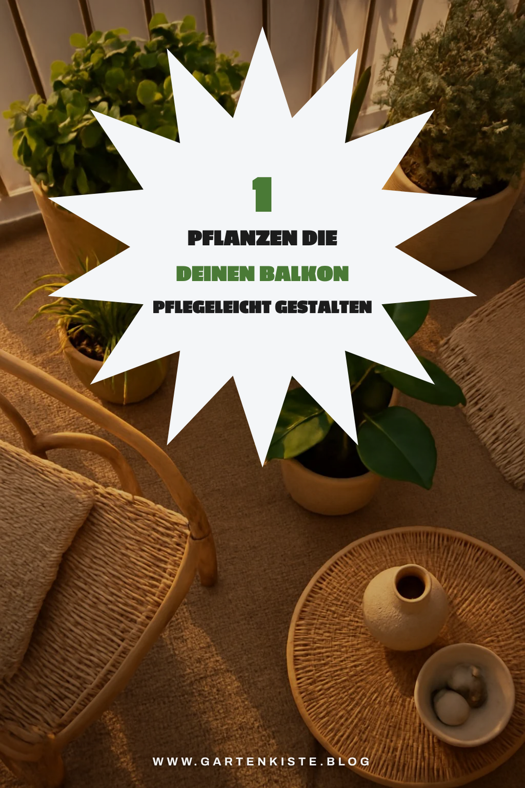 Mehr Empfehlungen aus dieser Kategorie