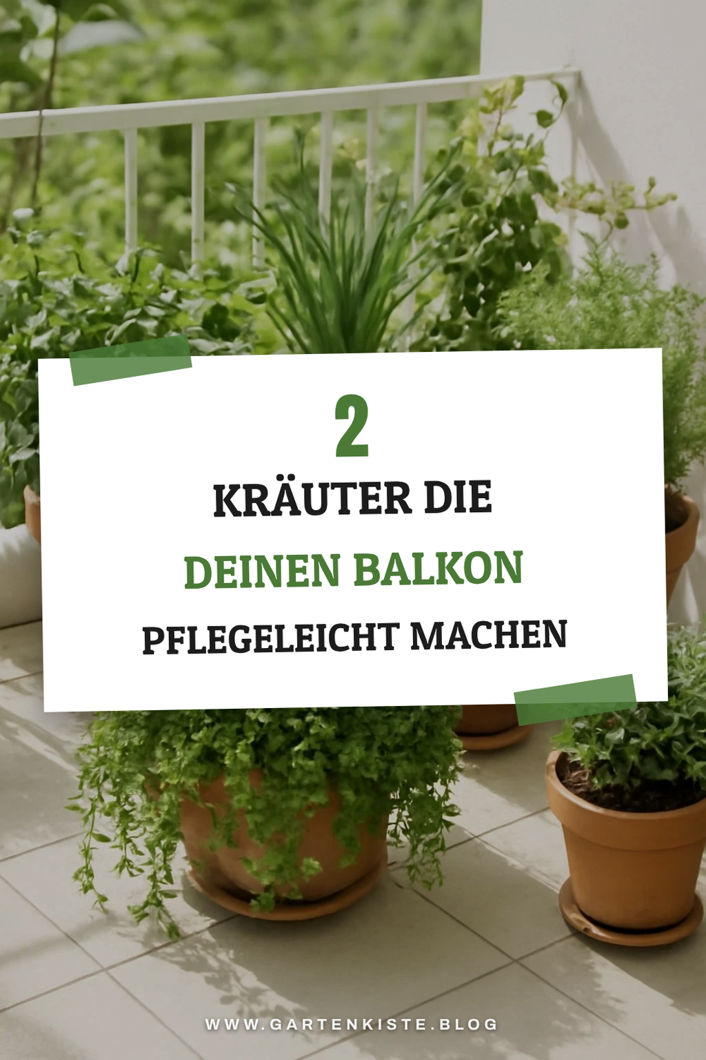 Entdecke diese 4 Kräuter für Balkongärtner