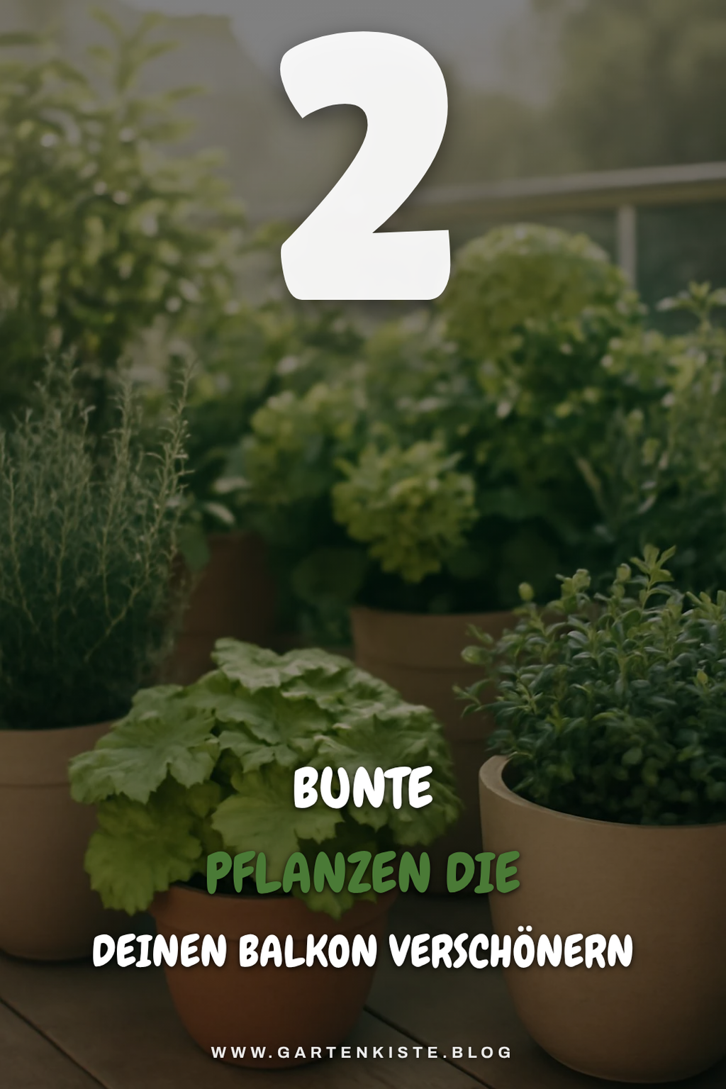 Diese 3 bunten Pflanzen sind pflegeleicht