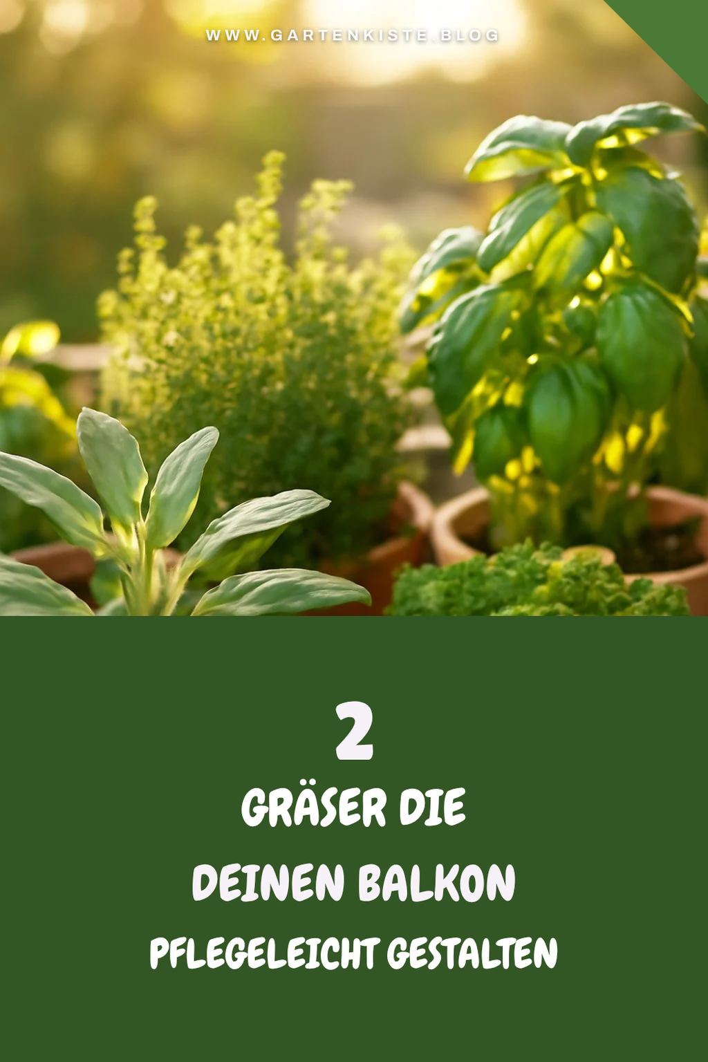 Diese 2 pflegeleichten Gräser bringen Leben