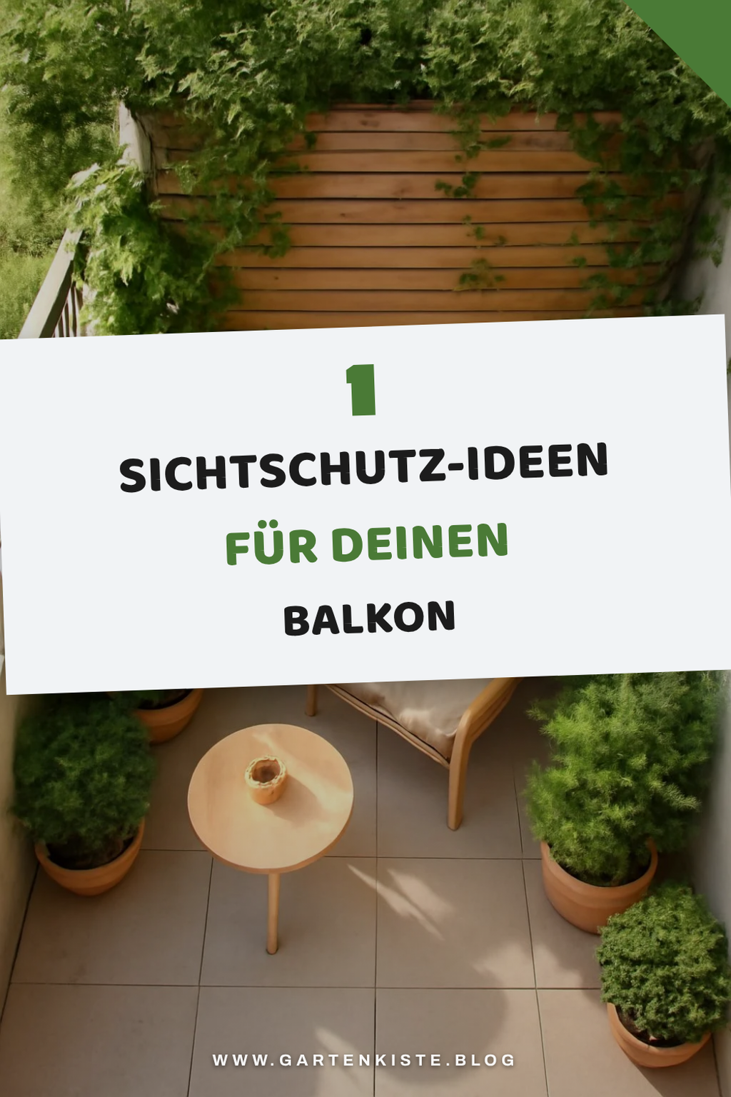 Mehr Empfehlungen aus dieser Kategorie