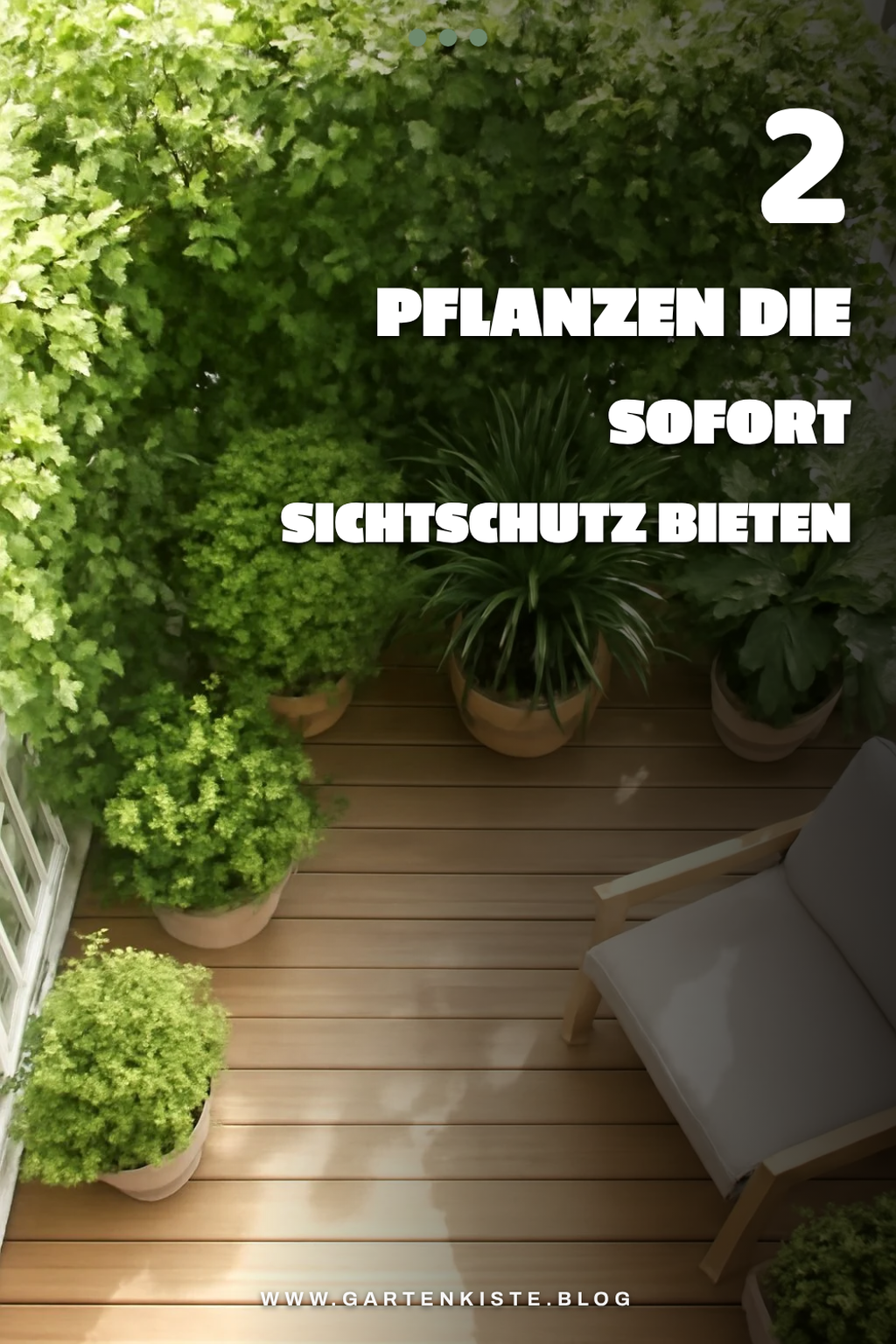 So schaffst du Sichtschutz mit Pflanzen auf deinem Balkon