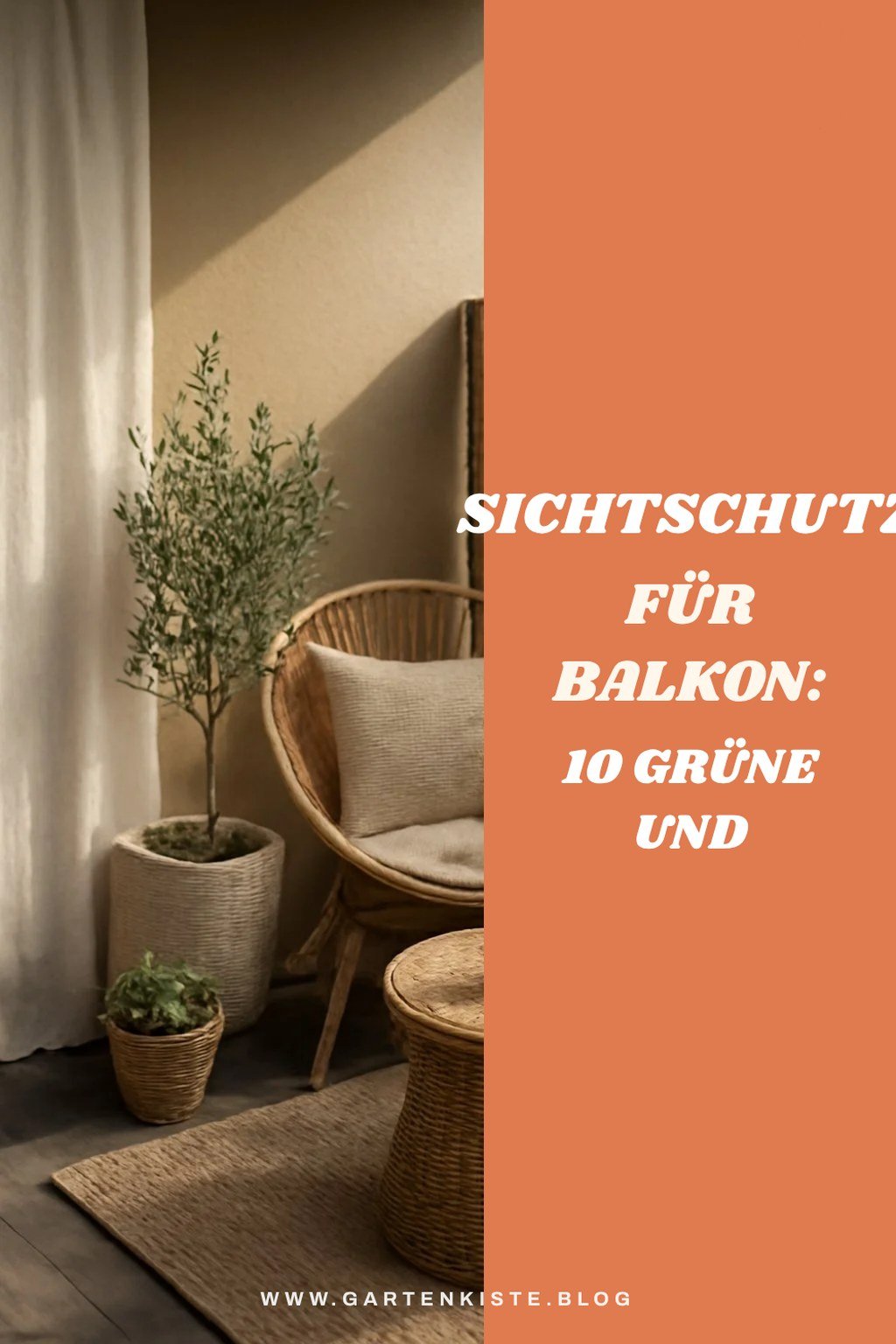 Sichtschutz für den Balkon: 10 grüne und günstige Lösungen