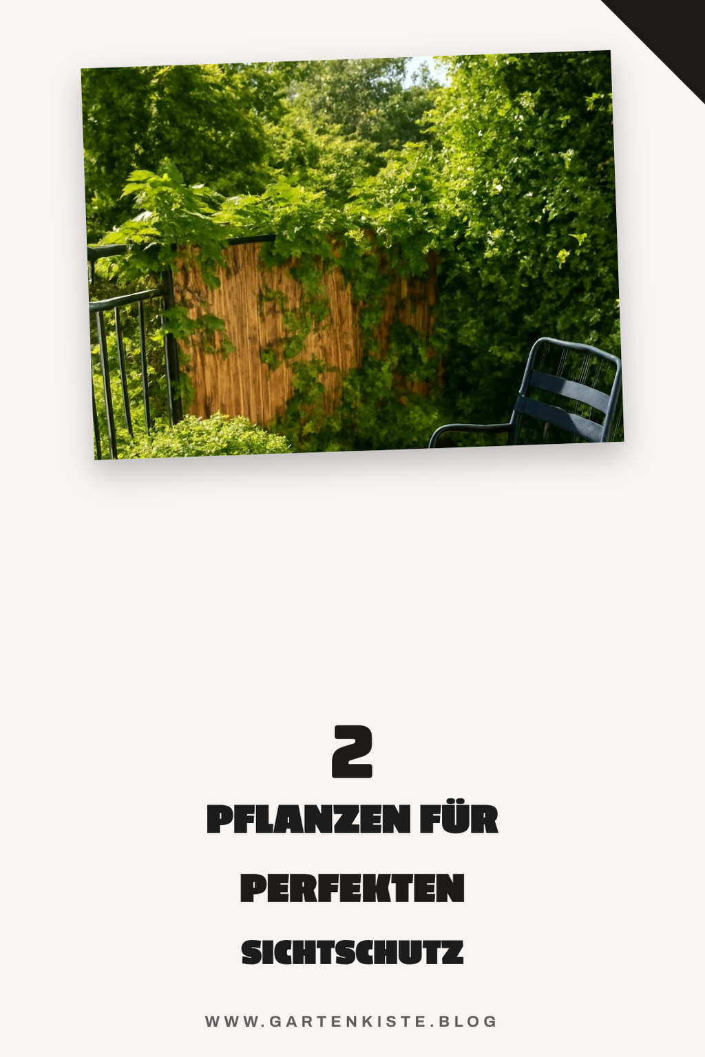 Pflanzen als Sichtschutz