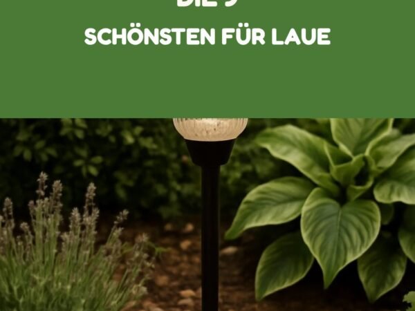 Solar-Gartenleuchten: Die 9 schönsten für laue Abende