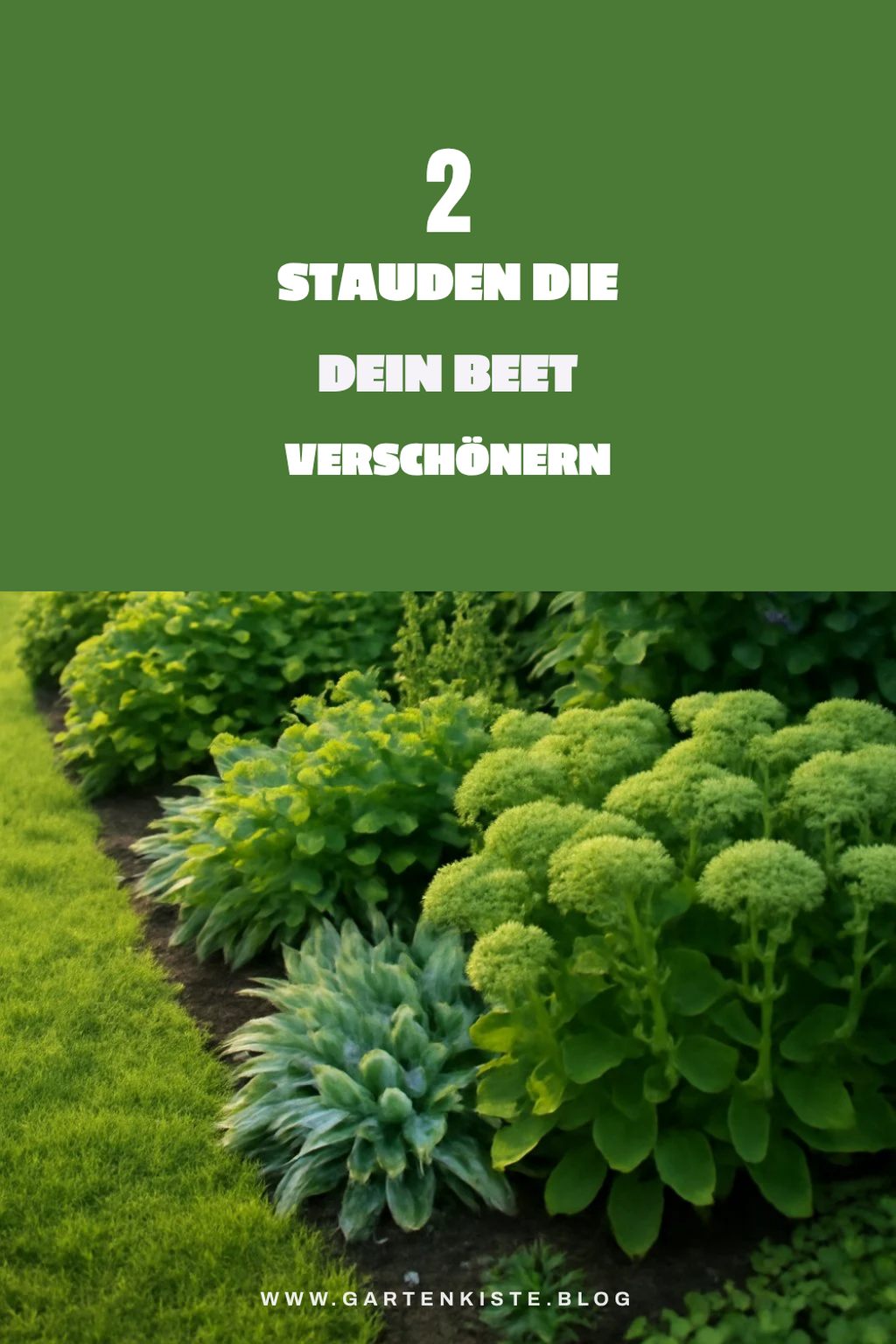 So gestaltest du dein Beet mit Stauden winterhart